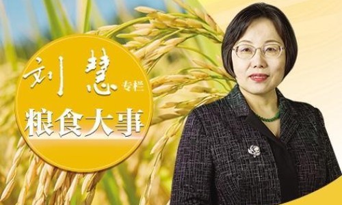 矮宀-矮怀的功效网—知名的矮脚棯功效网站,分享矮茶有什么作用知识