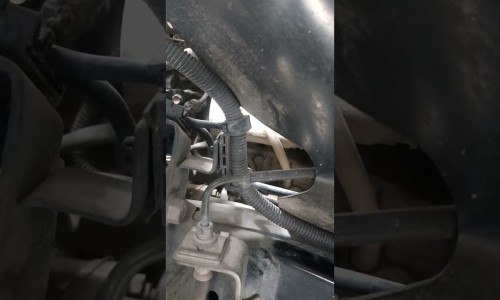 矮怀的功效网—知名的矮脚棯功效网站,分享矮茶有什么作用知识