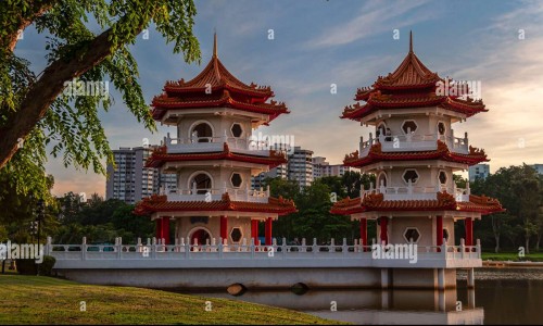 矮茶别名中药是什么-矮怀的功效网—知名的矮脚棯功效网站,分享矮茶有什么作用知识